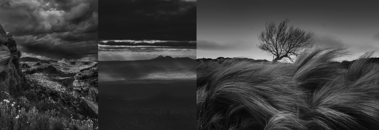 fotografía de paisajes en blanco y negro